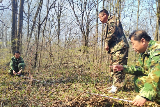 大東林場黨支部開展“科學造林育林 實現(xiàn)永續(xù)利用”主題黨日活動（1）.jpg