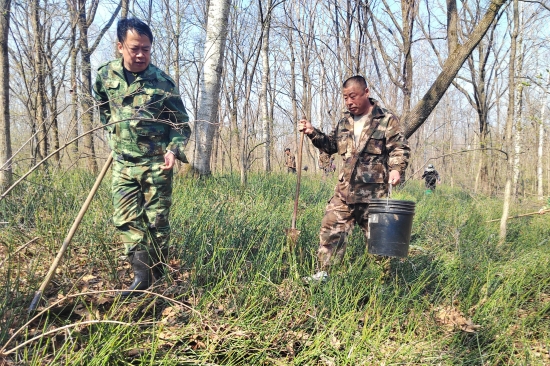 大東林場黨支部開展“科學造林育林 實現(xiàn)永續(xù)利用”主題黨日活動（2）.jpg